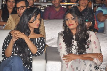 Pelli Choopulu Movie Audio Launch